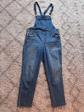 Universal Thread Light Blue Denim Overalls